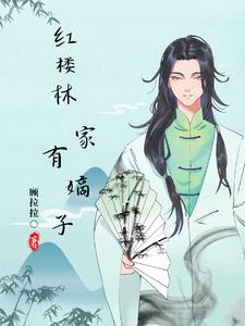 红楼之林家宝树txt下载